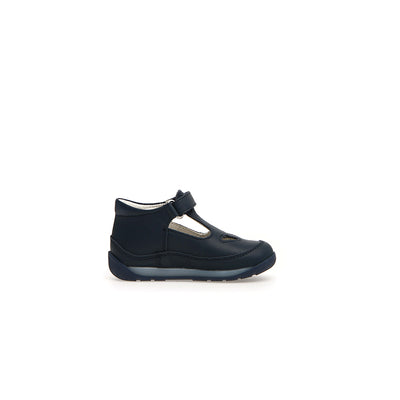 Falcotto San Diego New Calf Navy