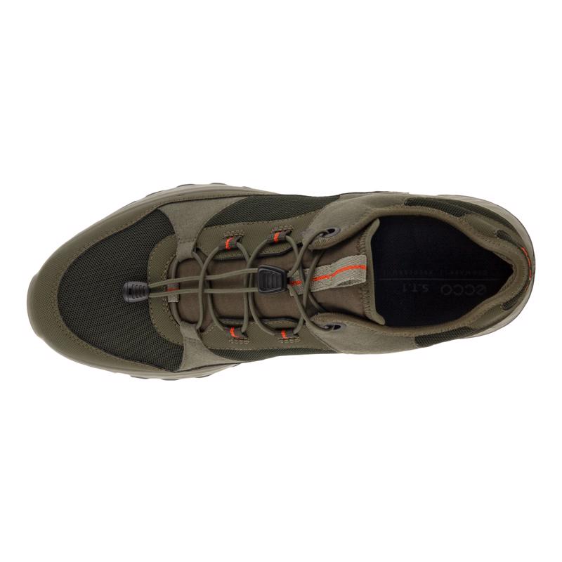 '- ["Ecco","Scarpe","Scarpe sportive","Ultima Taglia","Uomo"] - Ecco Exostride M Grapeleaf DeepForest - Lupis SRL