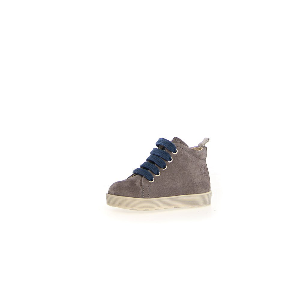 '- ["Falcotto","Kids","Nuovo","Polacco","Scarpe","Toddler"] - Falcotto Evaert Zip Suede Anthracite Azure - Lupis SRL