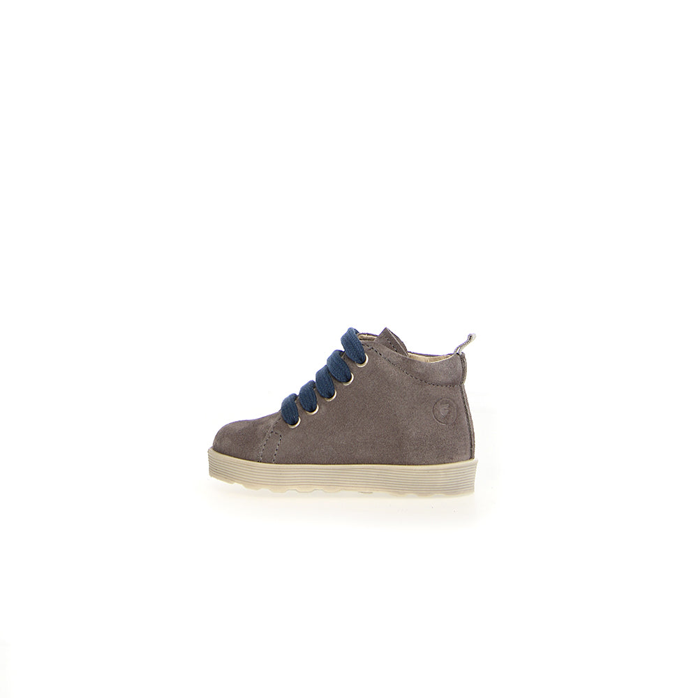 '- ["Falcotto","Kids","Nuovo","Polacco","Scarpe","Toddler"] - Falcotto Evaert Zip Suede Anthracite Azure - Lupis SRL