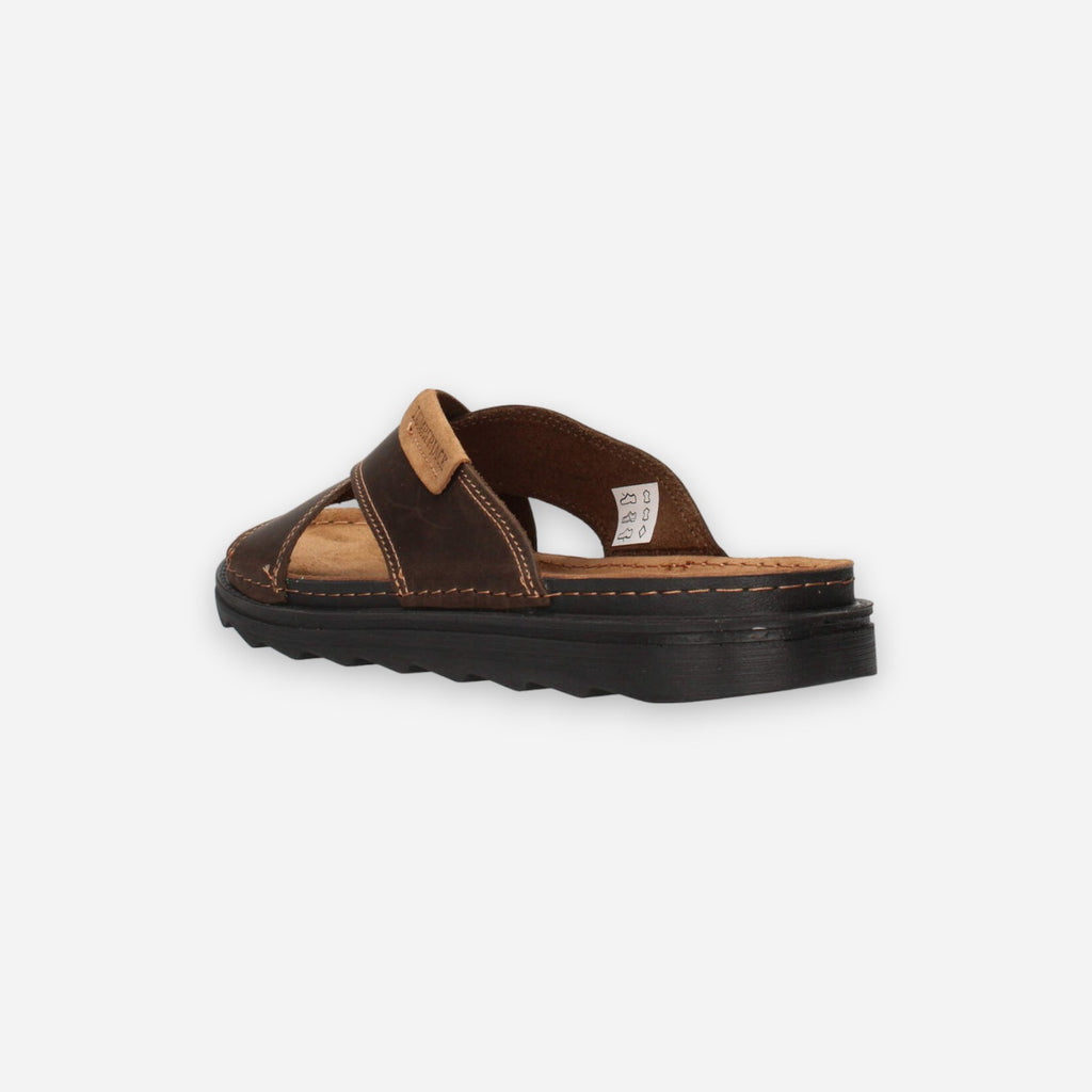Lumberjack Asher Dark Brown Black SMD8806-004